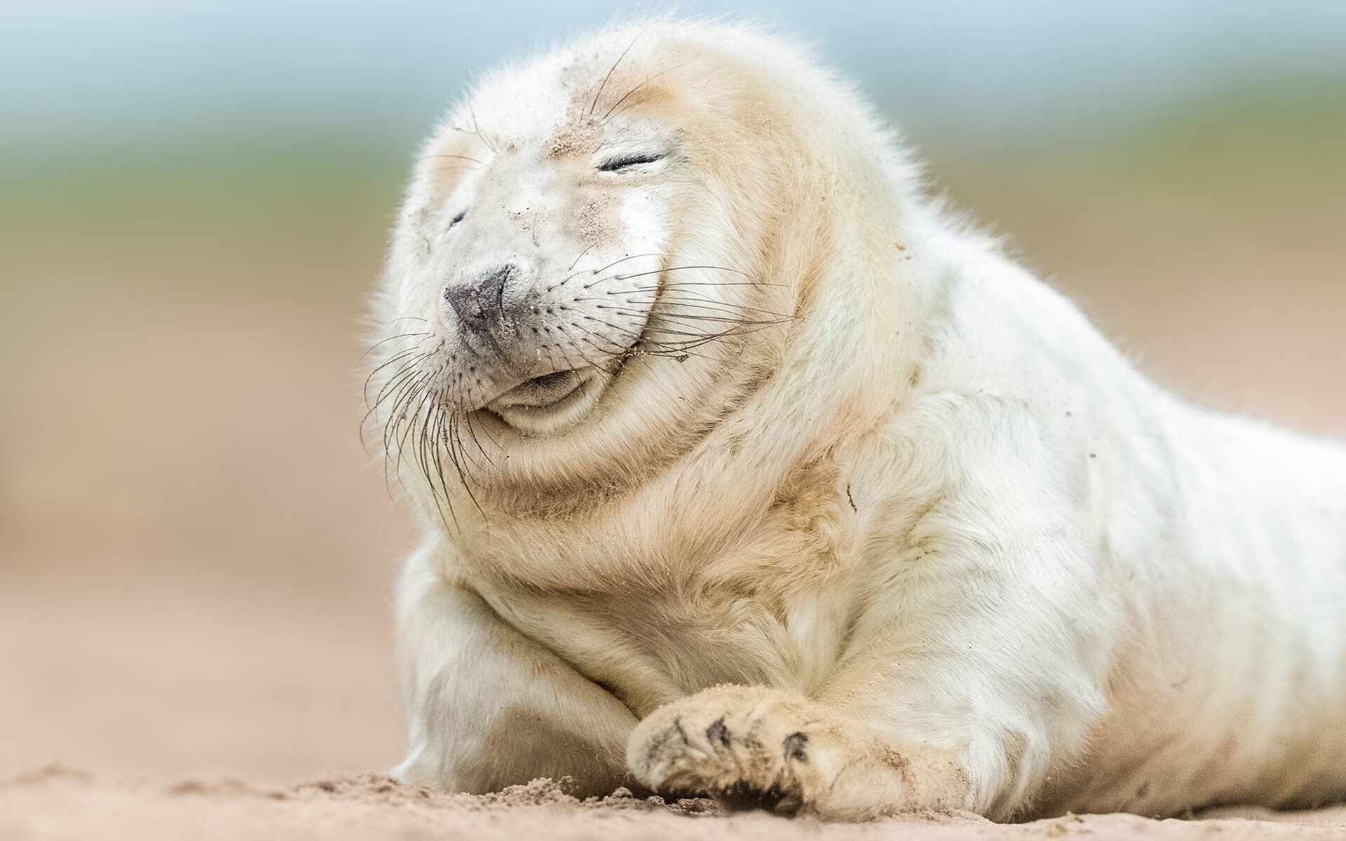 “西甲豪门鏖战,争夺最后欧冠门票激烈展开”,欧冠西甲名额