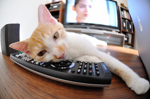 《粉丝狂欢嘉年华:线下活动让电竞更温暖》,粉丝线上活动有哪些