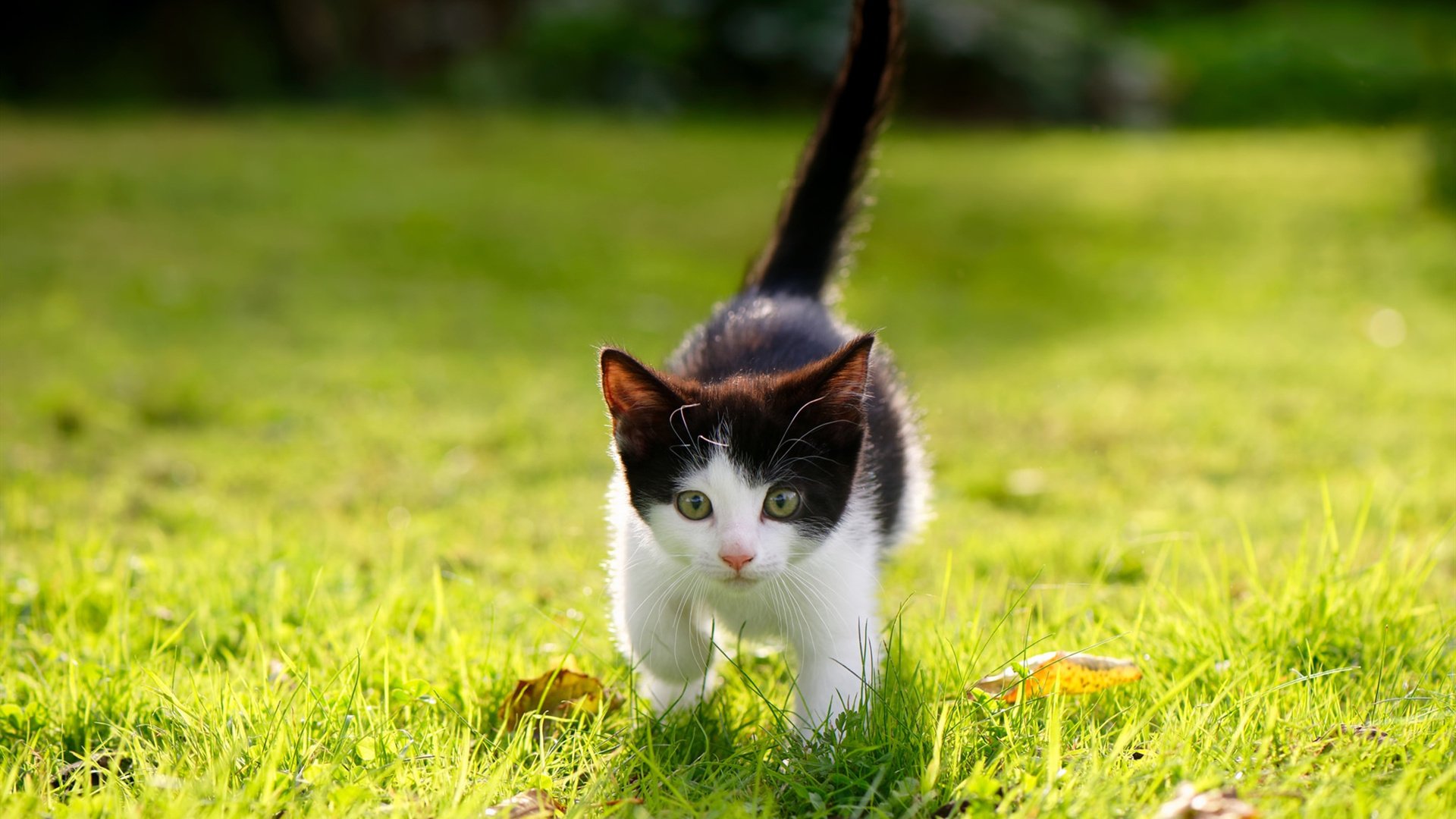 开云kaiyun-广场舞爱好者获得社会各界认可，广场舞的主要人群