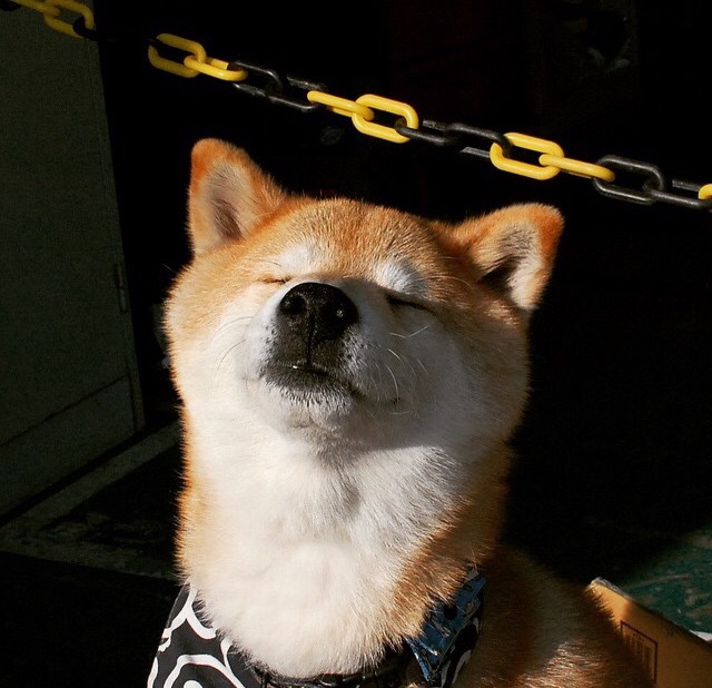 拜仁慕尼黑中场大师引领全队，拜仁慕尼黑站位