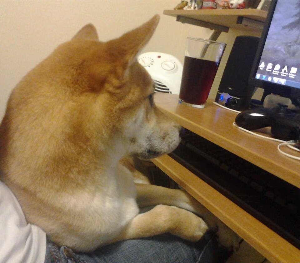 开云网页版登录入口-未来电竞的生态新格局：内容、硬件、平台多方共赢，电竞未来知乎