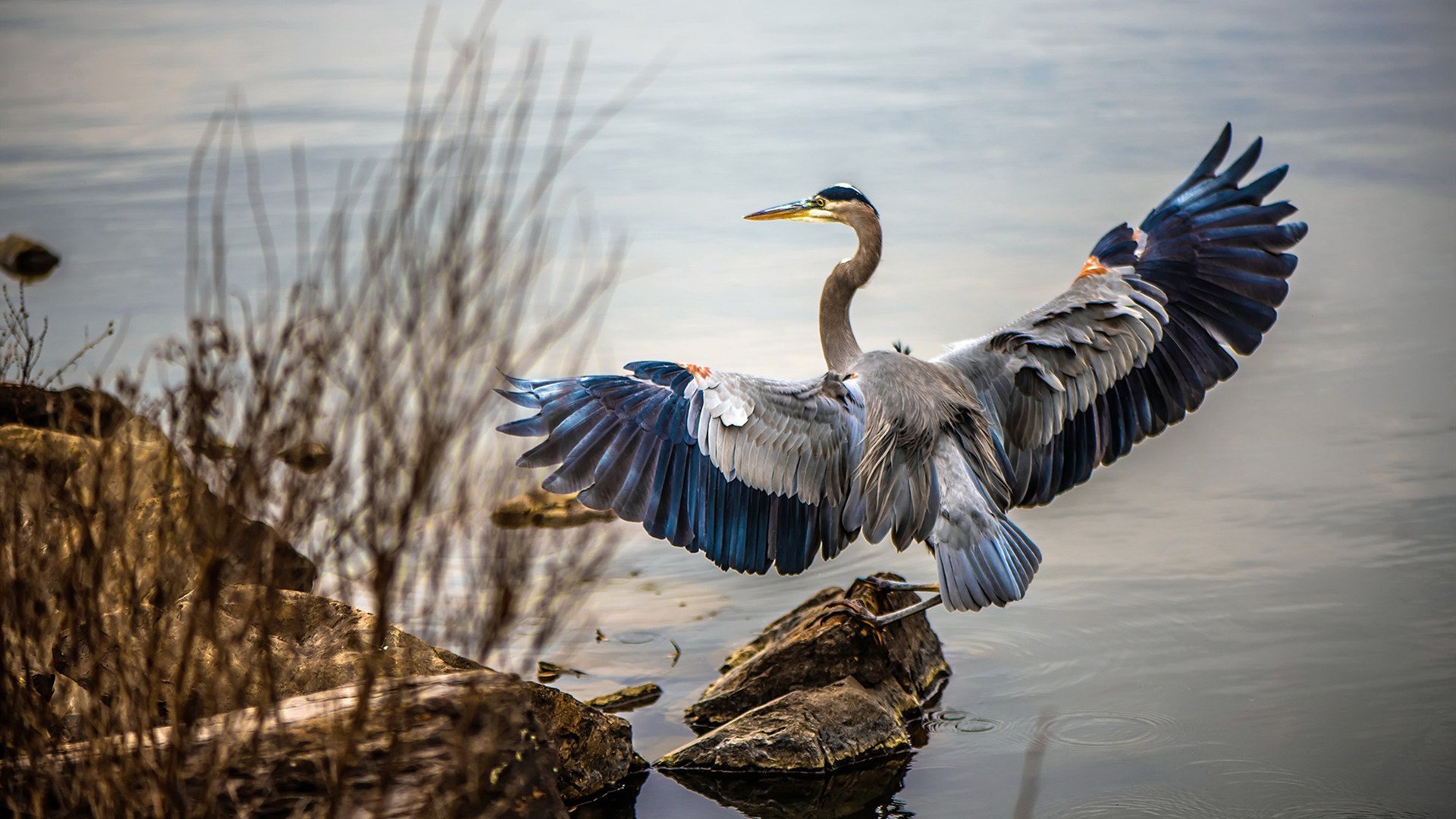 开云·体育官网-篮球文化节活动吸引大量篮球爱好者，篮球活动宣传标语