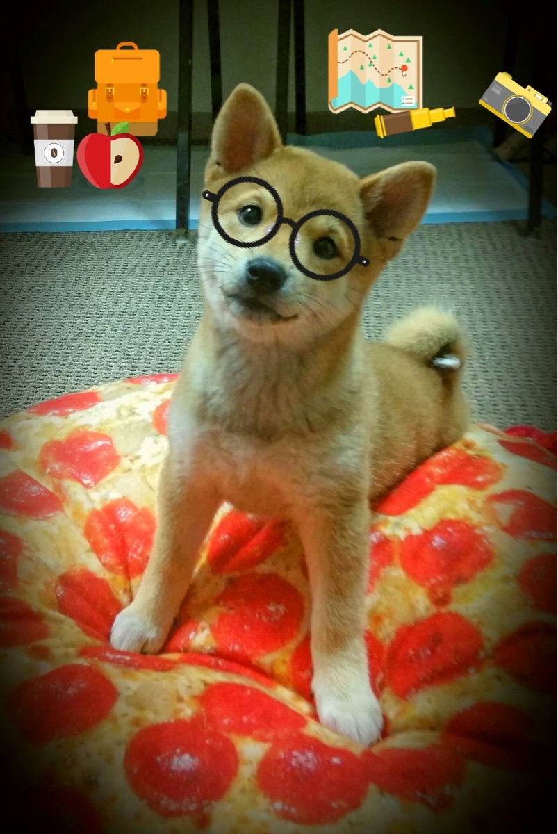 kaiyun官方入口登录-赛道专用轮胎：提升操控与速度的关键，赛道用什么轮胎