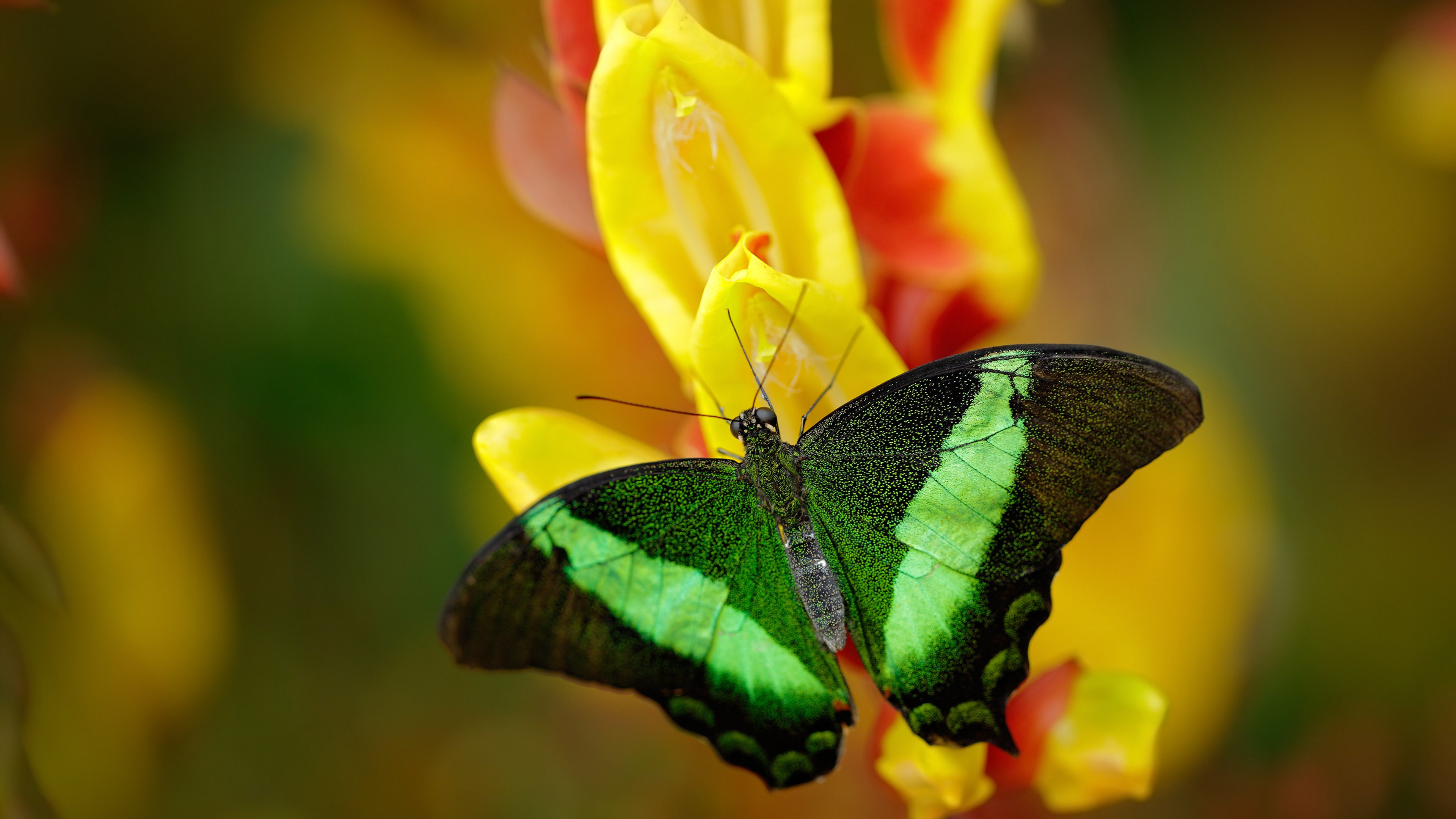 赛场“隐藏英雄”:不可忽视的关键球员,隐藏赛道