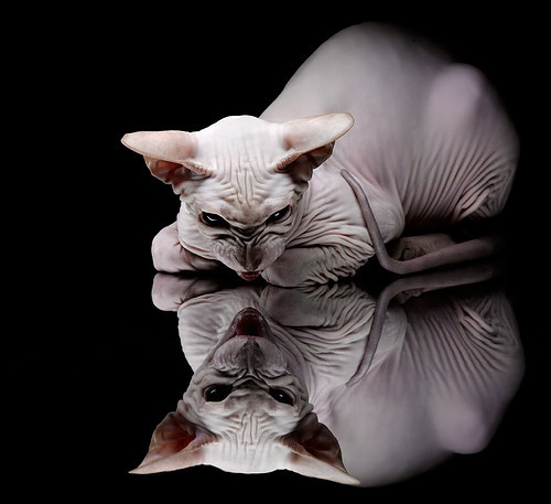 青少年足球国际交流不断深化,开拓少年球员国际视野,青少年足球普及