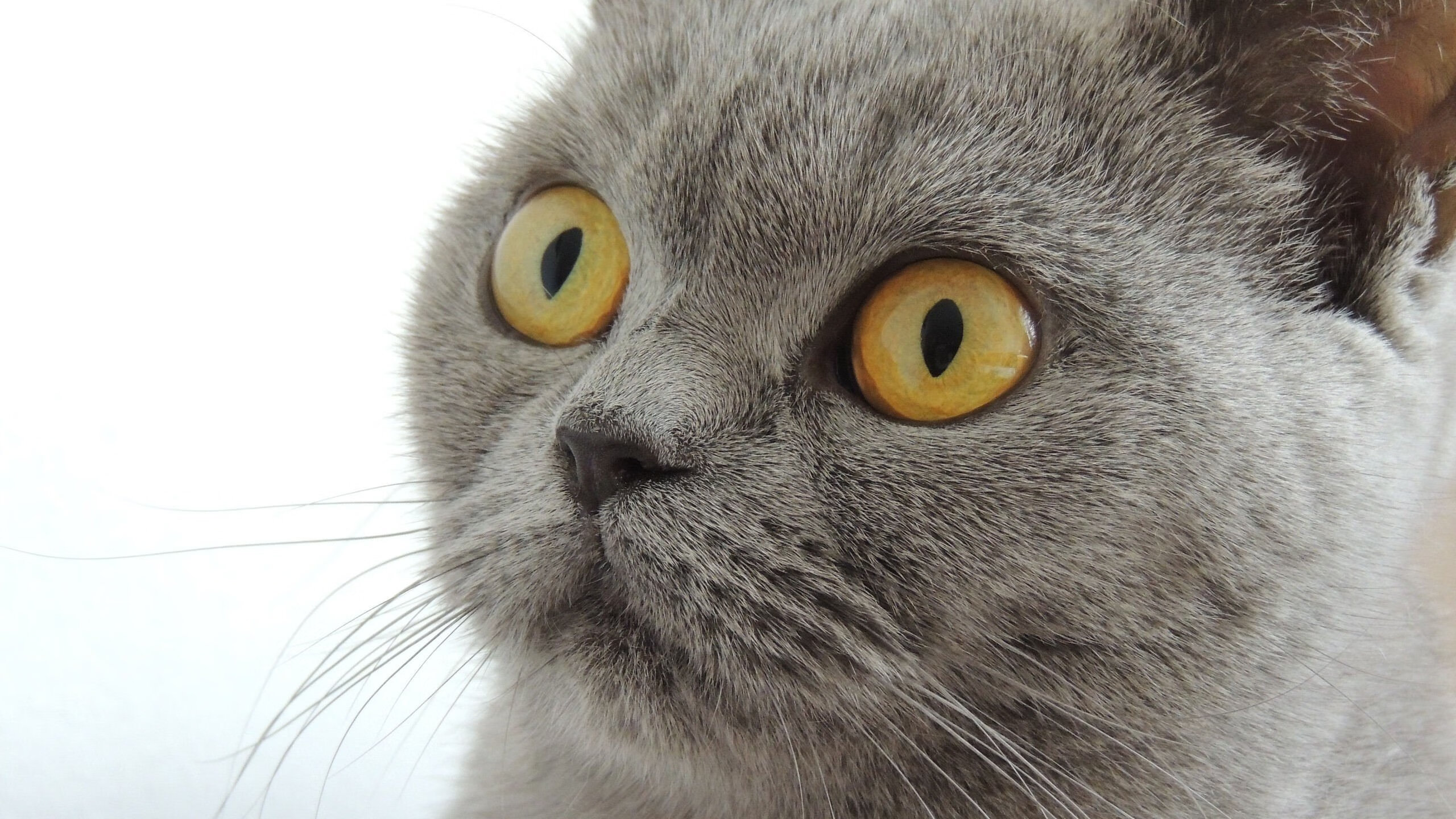 中国足球的青少年足球培训体系建设方案实施,青少年足球培训基地